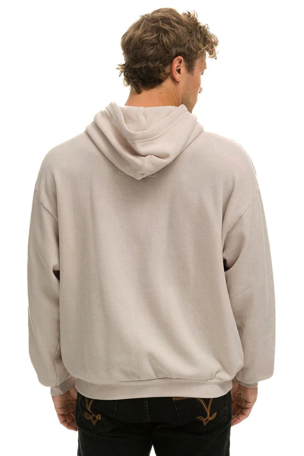 Aviator Nation | Relaxed Logo Hoodie in Sand - Image 5