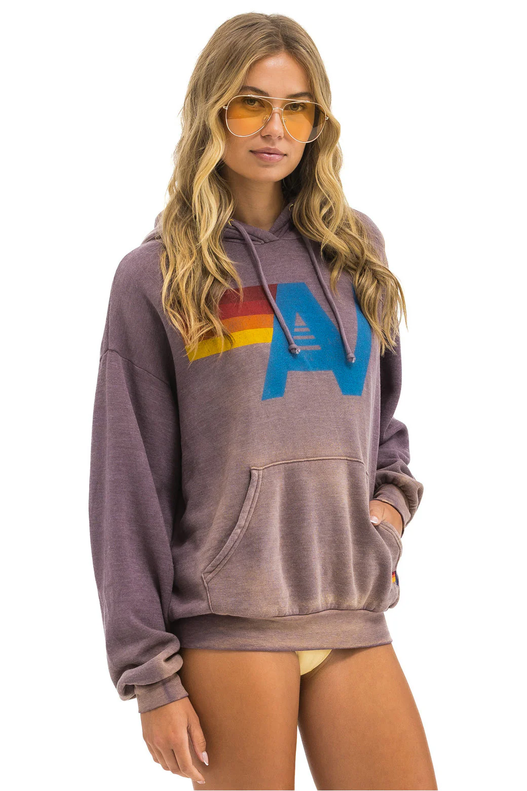 Aviator Nation | Vintage Logo Hoodie - Faded-Mocha - Image 4