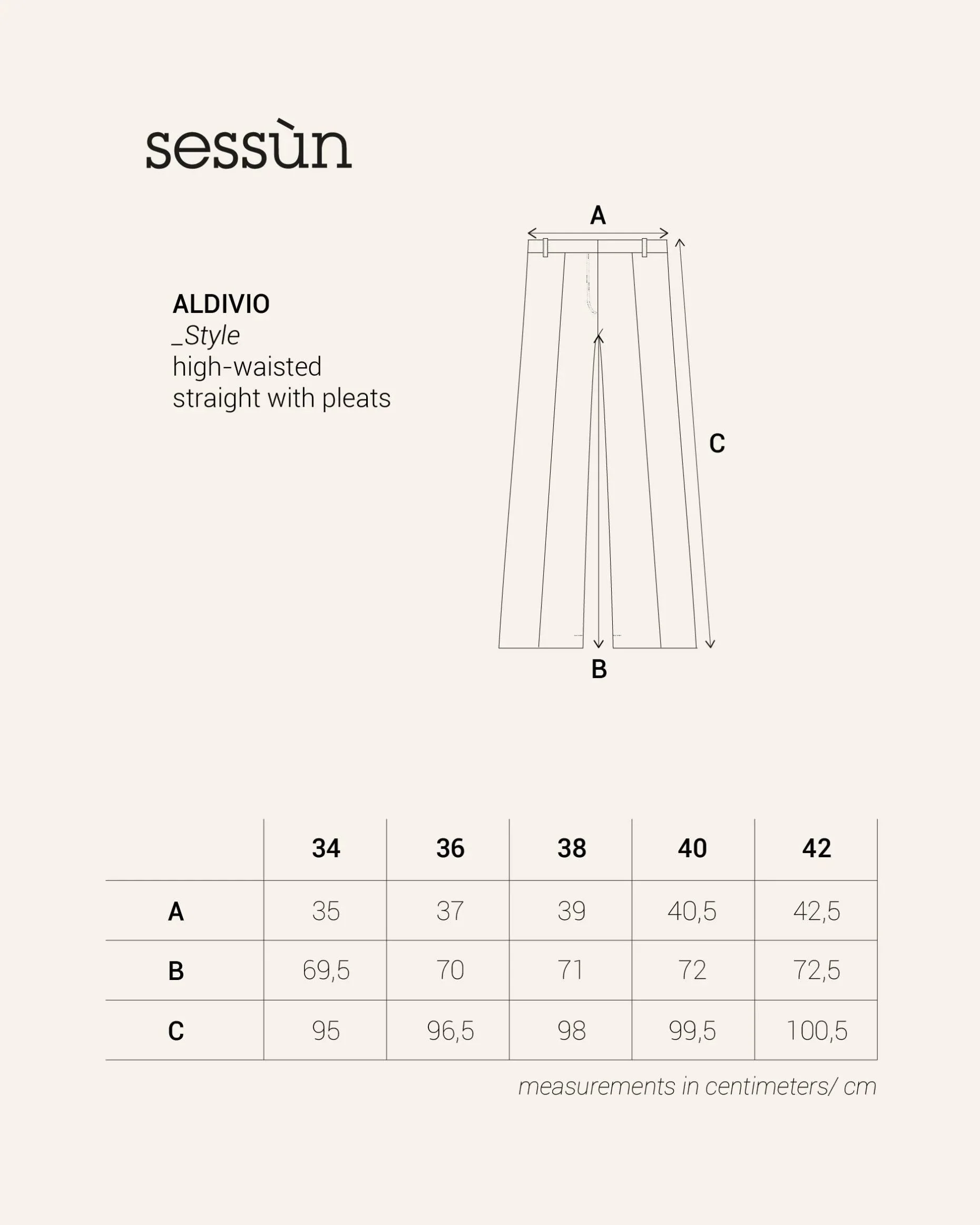 Sessun | Aldivio Straight Pleated Pants - Stonewash Twill Carbonella - Image 7